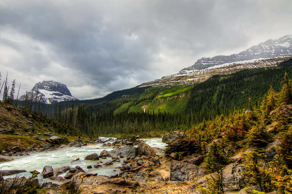 Yoho NP 2015